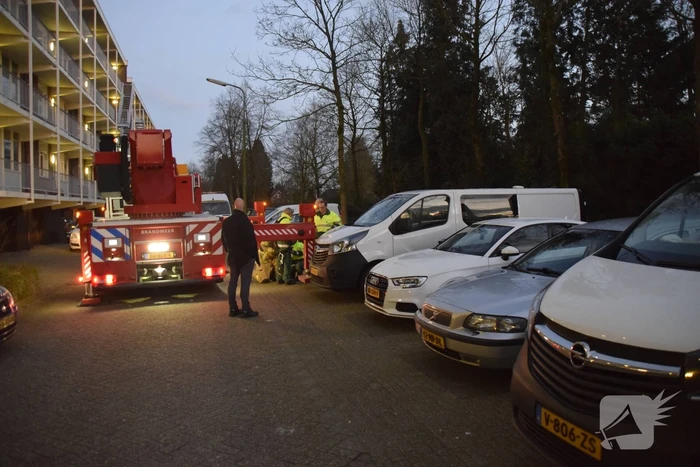 Kat in hoge boom op de vlucht voor brandweer