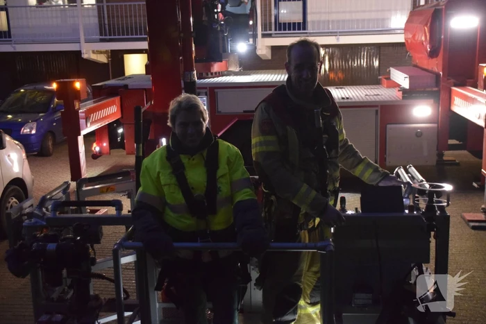 Kat in hoge boom op de vlucht voor brandweer