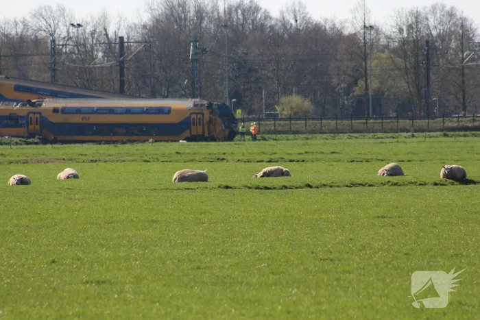 Dodelijk slachtoffer werkte aan het spoor