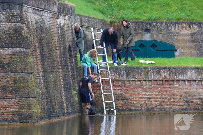 Hond valt van meters hoge vestingwal in water