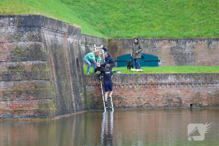 Hond valt van meters hoge vestingwal in water