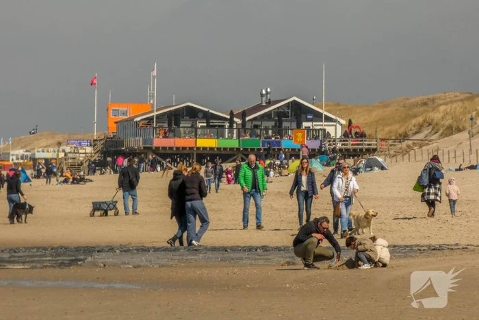 nieuws zuidschinkeldijk callantsoog