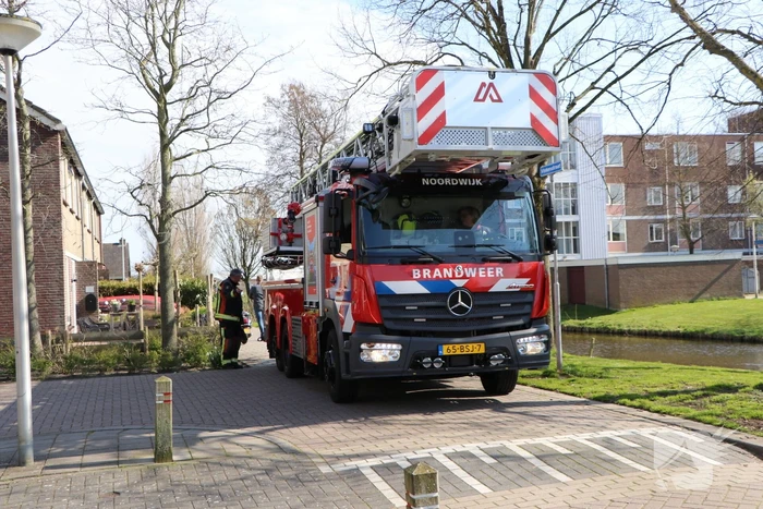 Omstanders redden inzittenden uit te water geraakte auto