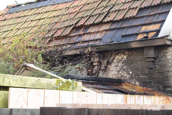 Brand in hok met haardhout slaat over naar schuur