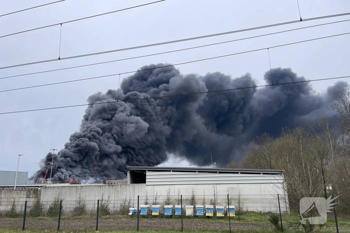 Zeer grote brand verwoest bedrijfspand