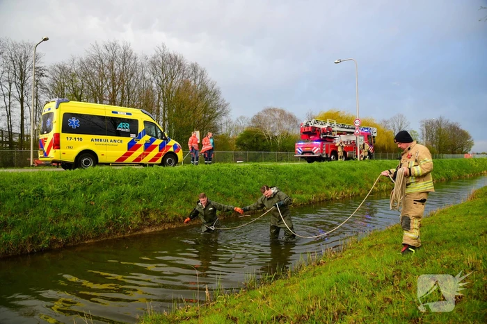 nieuws albrandswaardseweg poortugaal