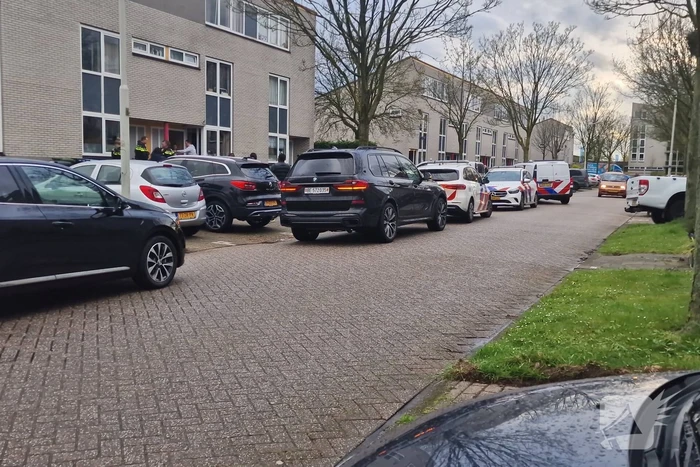 nieuws langeweide zaandam