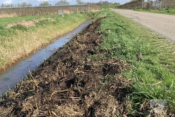 Bermbrand snel onder controle