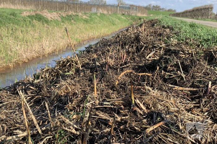 Bermbrand snel onder controle