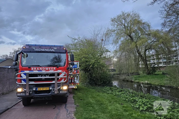nieuws dissel veenendaal