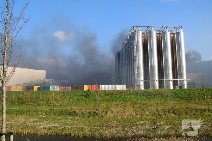 Zeer grote brand in cacao opslag