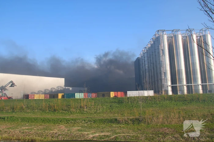 Zeer grote brand in cacao opslag