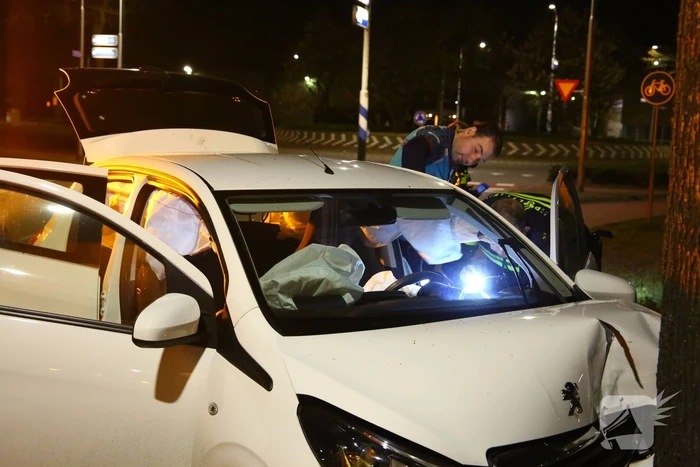 Automobilist eindigt tegen boom