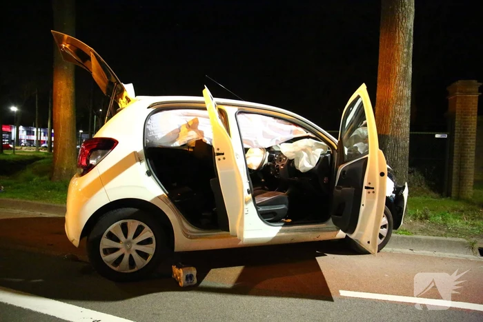Automobilist eindigt tegen boom