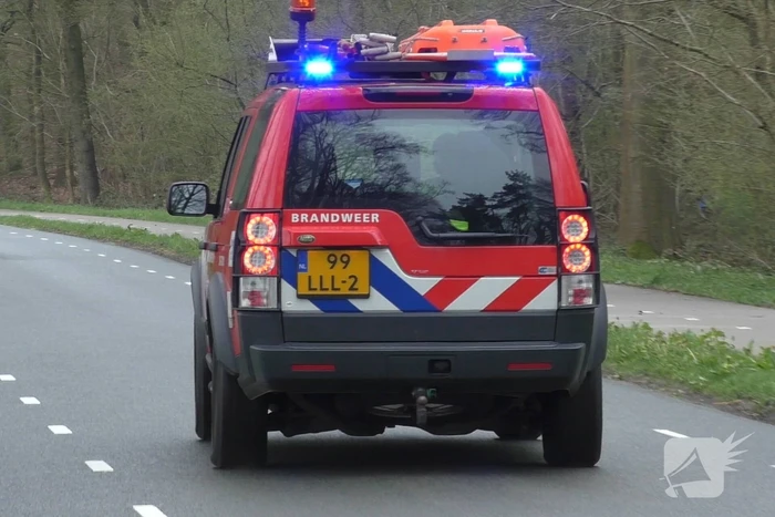 Mountainbiker komt hard ten val in bosgebied