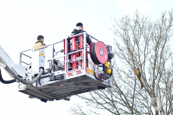 Brandweer schiet te hulp bij vermiste Ara