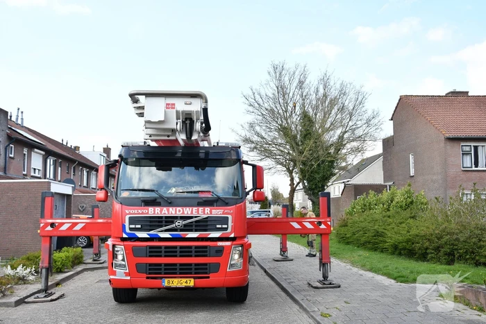Brandweer schiet te hulp bij vermiste Ara