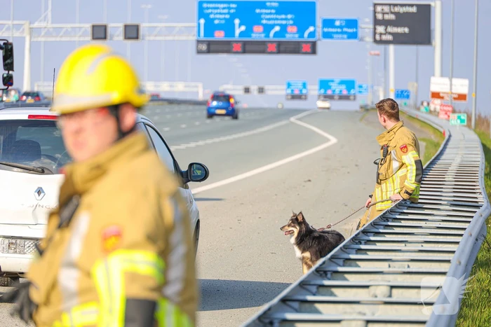 Flinke ravage op snelweg door ongeval