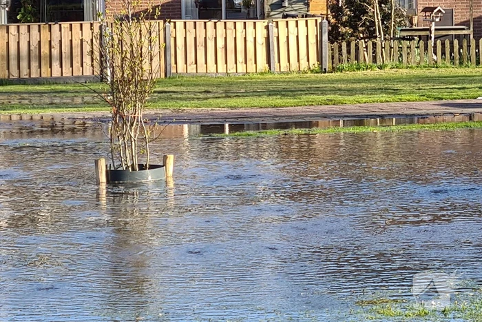 Grasveld onder water door gesprongen waterleiding