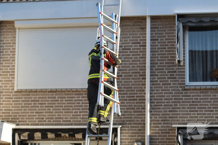 Brandweermannen halen kat van het dak