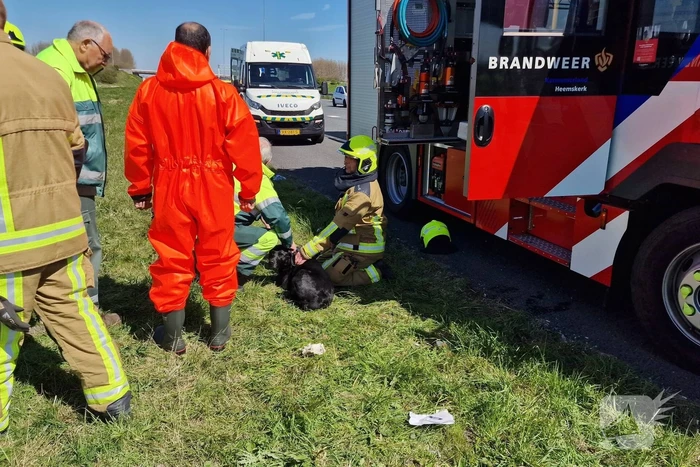 Auto ondersteboven te water geraakt