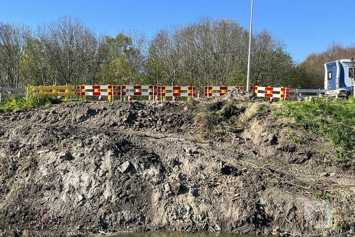 Bever maakt burcht en zorgt voor gevaarlijke situatie