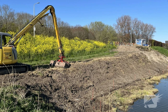 Bever maakt burcht en zorgt voor gevaarlijke situatie