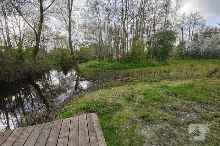 Flinke vlammen bij brand in boomwal