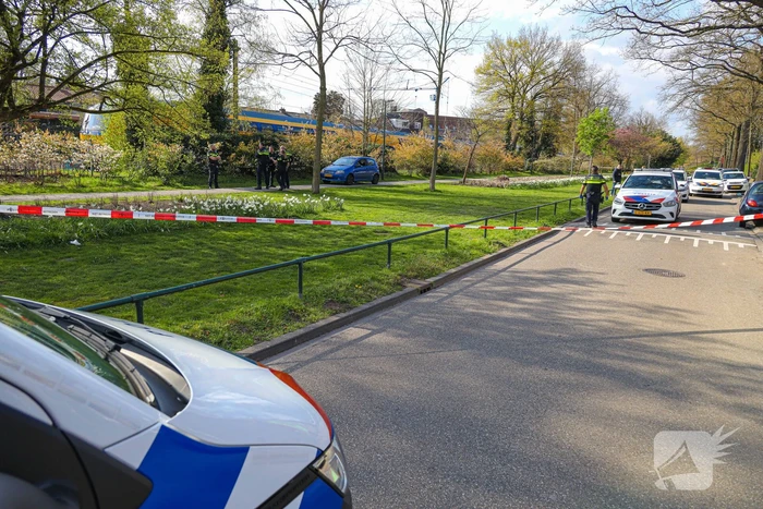 Drie donker getinte jongens gezocht