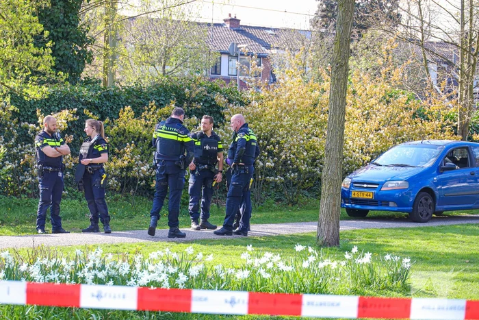 Drie donker getinte jongens gezocht