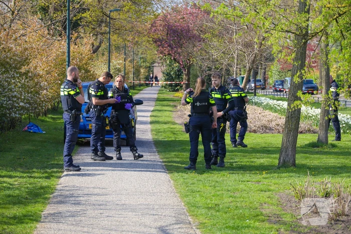 Drie donker getinte jongens gezocht