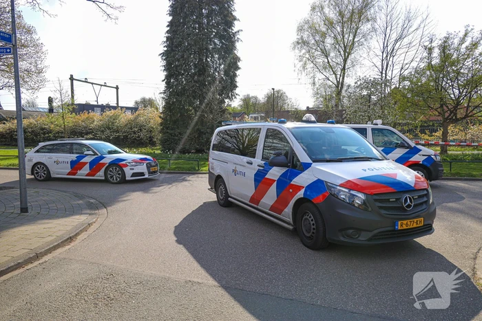 Drie donker getinte jongens gezocht