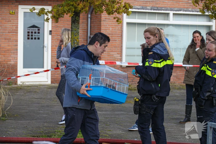 Veel schade naar brand op dak