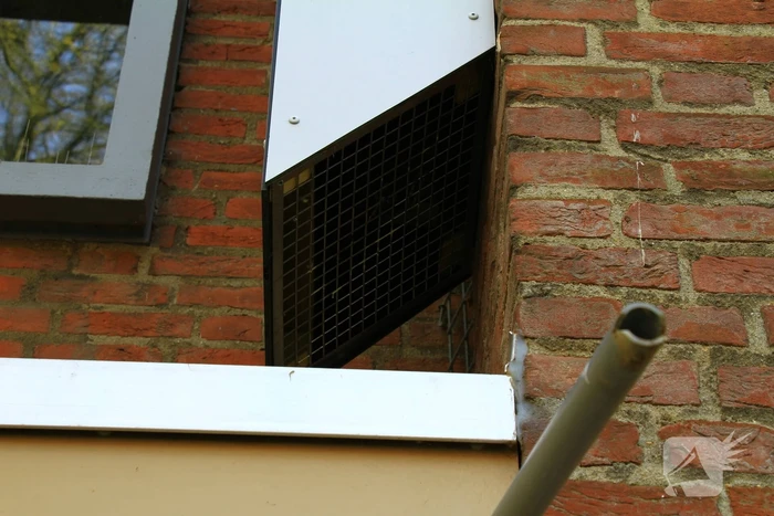 Brandweer bevrijdt opgesloten kraai