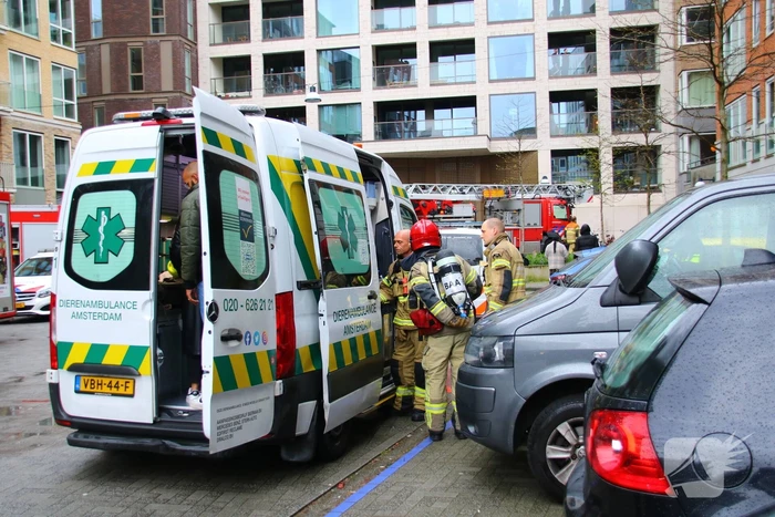 Bewoner en huisdier krijgen rook binnen bij hevige woningbrand