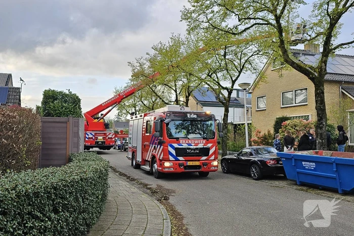 brand rienderstein ede