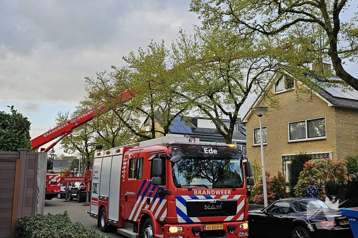 Brandweer ingezet bij brand in schoorsteen