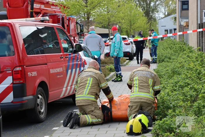 Twee personen op dak van woning