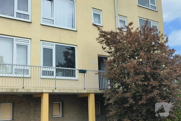 Veel rook bij kleine brand in woning