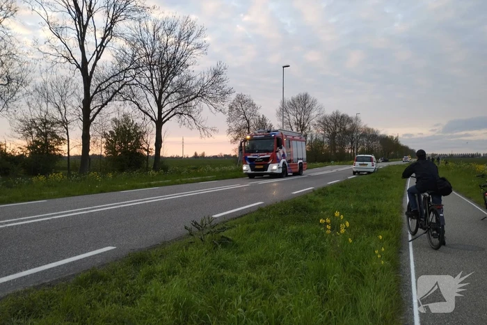 Auto uitgebrand na harde botsing