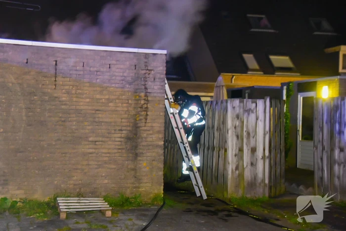 brand fledermauspad hoogvliet rotterdam