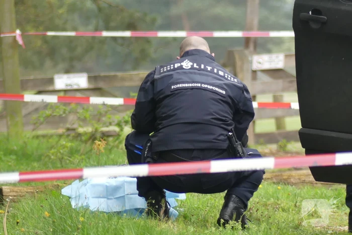 Bestelbus met afval in brand gestoken op parkeerplaats bij bos, twee aanhoudingen