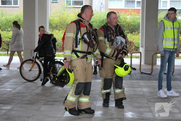 Rookontwikkeling door pan op het vuur