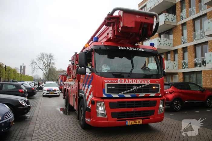 Rookontwikkeling door pan op het vuur