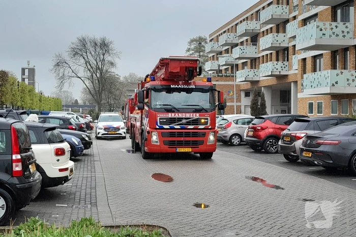 Rookontwikkeling door pan op het vuur