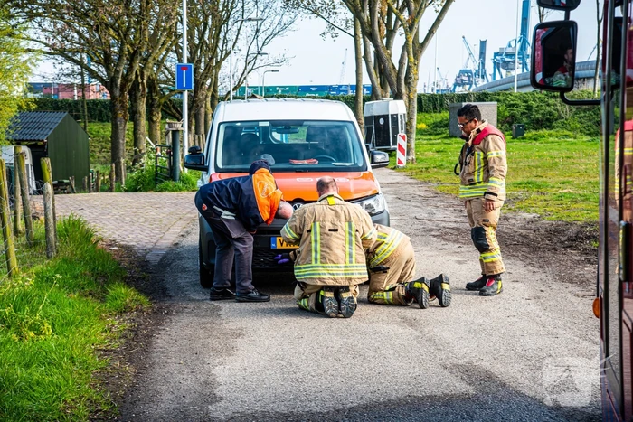 Brandweer redt duif uit voorkant van bestelbus
