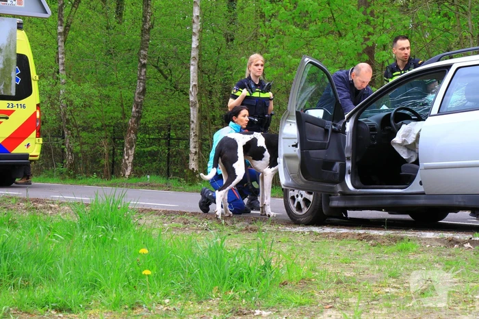 Flinke schade en twee gewonden na ongeval op kruising