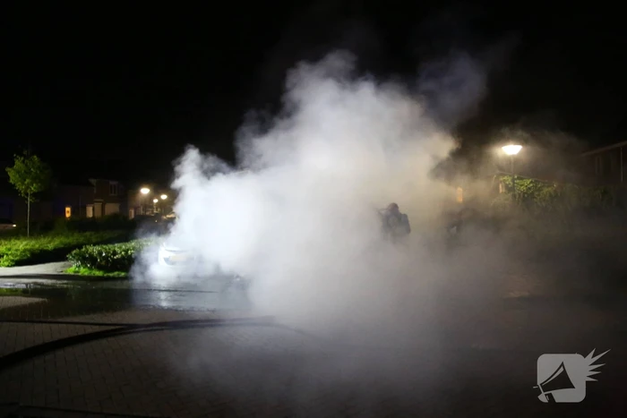 Bestelbus verwoest door brand