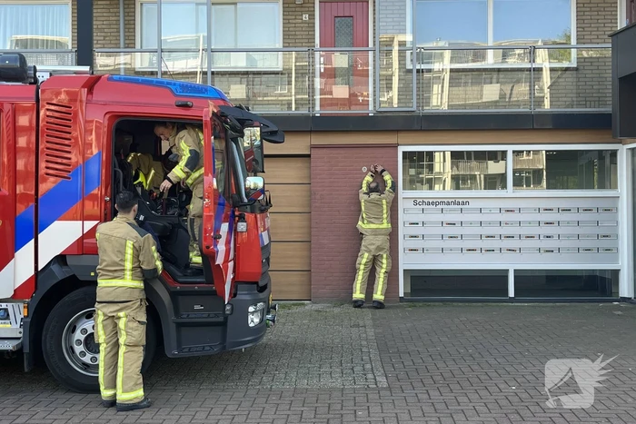 Hinderlijke lucht door benzinelekkage
