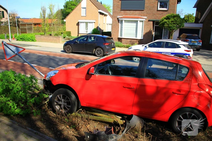 Automobilist ramt boom en verkeersbord